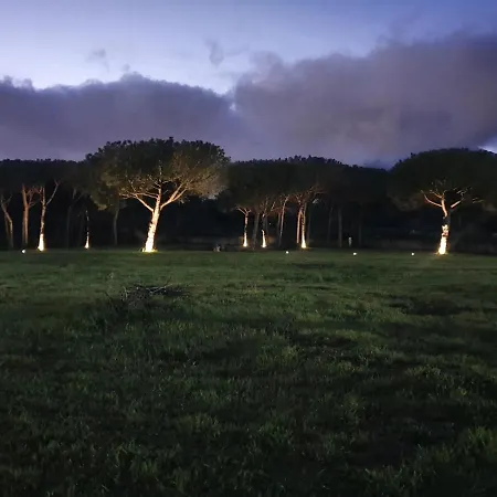 Panzió Bosco Mattavona