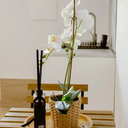 Panzió Bosco Mattavona Boscotrecase