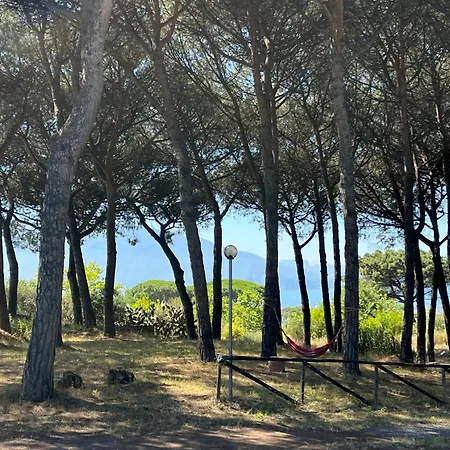 Bosco Mattavona Panzió