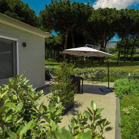 Bed & Breakfast Bosco Mattavona *