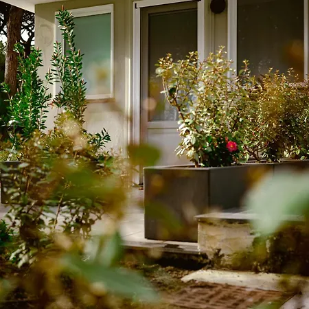 Bed & Breakfast Bosco Mattavona *